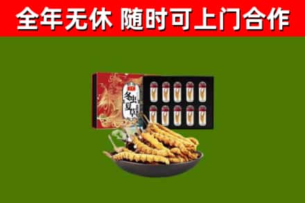 尖草坪烟酒回收冬虫夏草礼盒.jpg